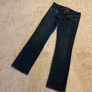 American Eagle Slim Boot Jeans 10